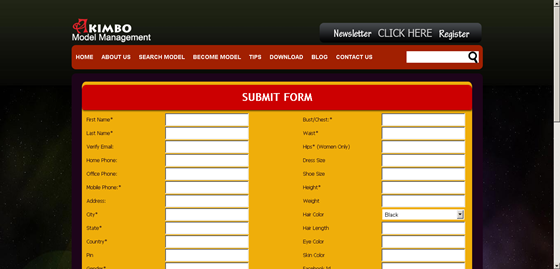 Web Applications: Modelling website