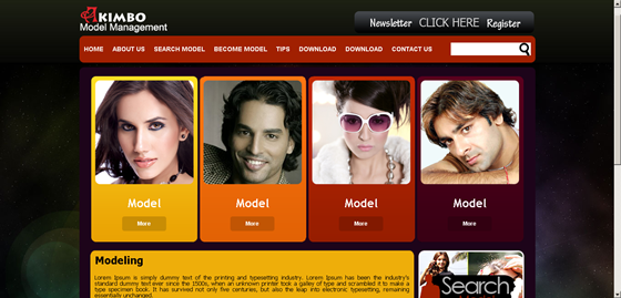 Web Applications: Modelling website