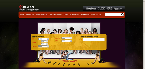 Web Applications: Modelling website